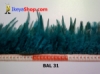 bulu ayam lancip BAL 31 - feather medium.jpg
